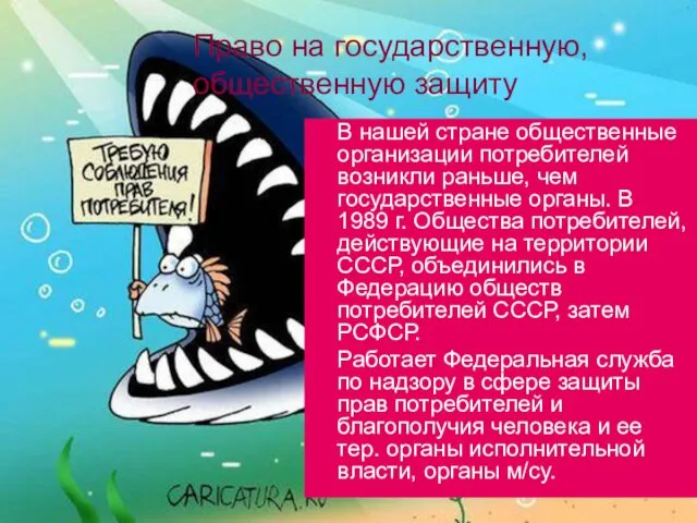 Право на государственную, общественную защиту В нашей стране общественные организации