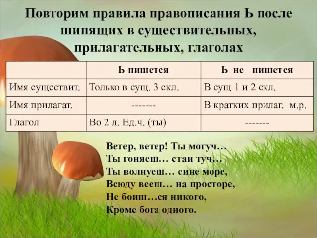 Повторим правила правописания Ь после шипящих в существительных, прилагательных, глаголах