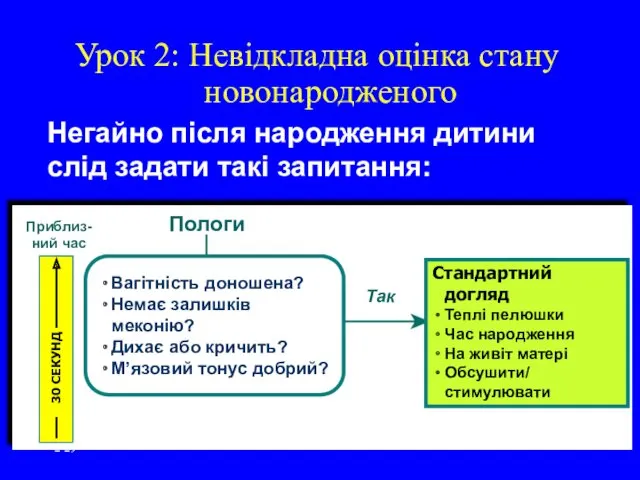 2- Урок 2: Невідкладна оцінка стану новонародженого Негайно після народження дитини слід задати такі запитання: