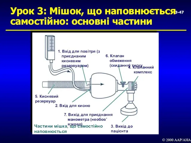 3- Урок 3: Мішок, що наповнюється самостійно: основні частини © 2000 AAP/AHA