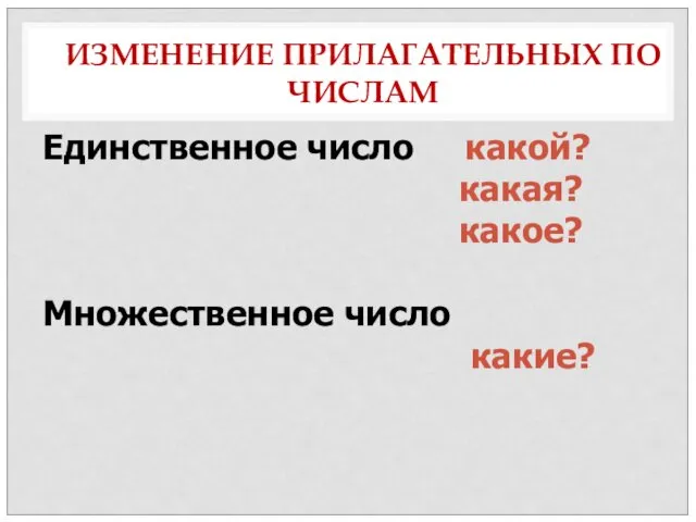 ИЗМЕНЕНИЕ ПРИЛАГАТЕЛЬНЫХ ПО ЧИСЛАМ Единственное число какой? какая? какое? Множественное число какие?