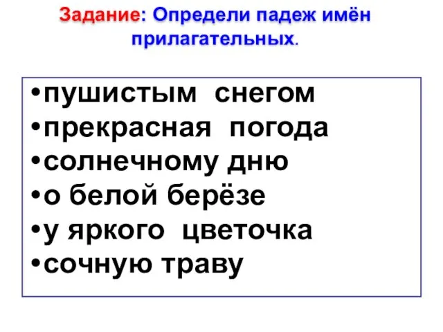 пушистым снегом прекрасная погода солнечному дню о белой берёзе у