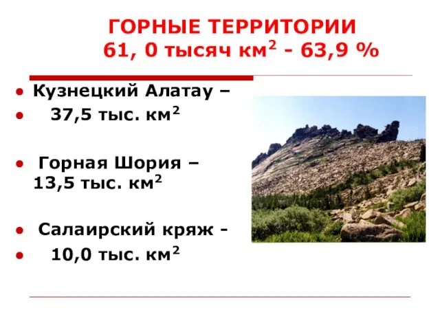 ГОРНЫЕ ТЕРРИТОРИИ 61, 0 тысяч км2 - 63,9 % Кузнецкий