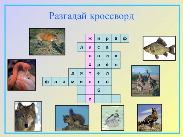 Разгадай кроссворд ж и о в т и е н