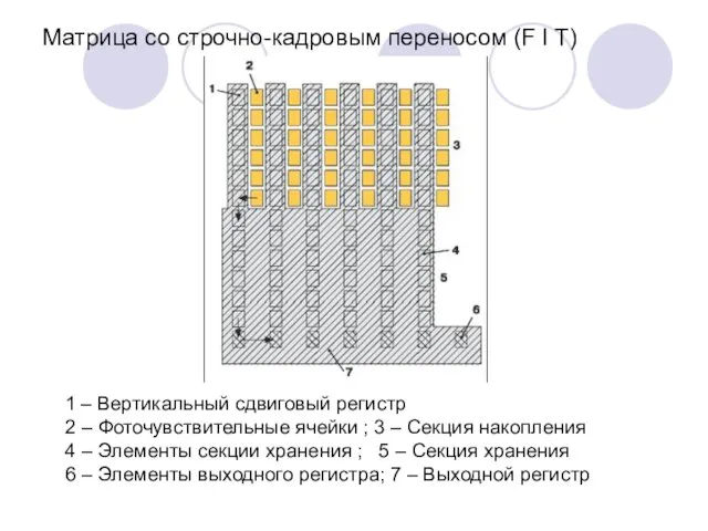 Матрица со строчно-кадровым переносом (F I T) 1 – Вертикальный