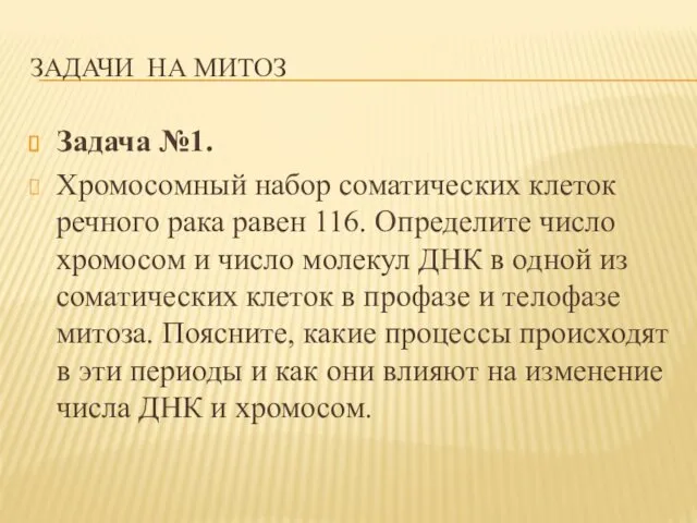 ЗАДАЧИ НА МИТОЗ Задача №1. Хромосомный набор соматических клеток речного