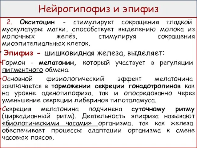 Нейрогипофиз и эпифиз 2. Окситоцин - стимулирует сокращения гладкой мускулатуры