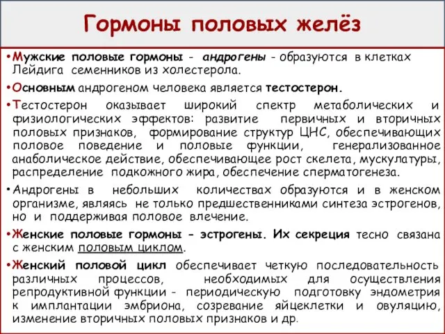 Гормоны половых желёз Мужские половые гормоны - андрогены - образуются