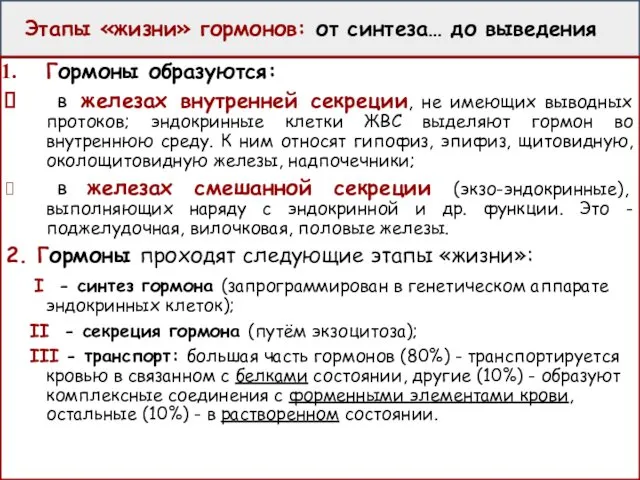 Этапы «жизни» гормонов: от синтеза… до выведения Гормоны образуются: в