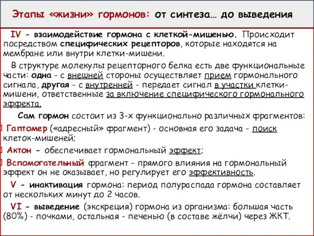 Этапы «жизни» гормонов: от синтеза… до выведения IV - взаимодействие