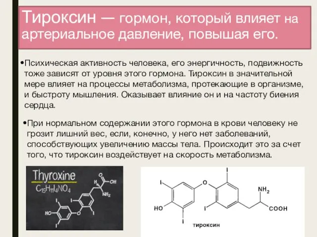 Тироксин — гормон, который влияет на артериальное давление, повышая его. Психическая активность человека,