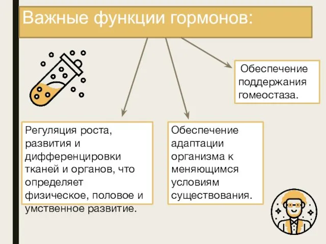 Важные функции гормонов: Регуляция роста, развития и дифференцировки тканей и