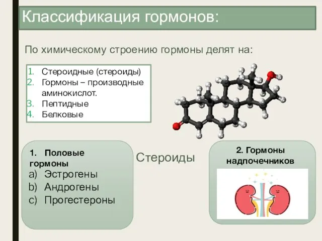 Классификация гормонов: По химическому строению гормоны делят на: Стероидные (стероиды) Гормоны – производные
