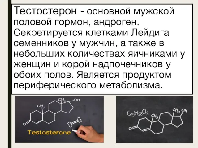 Тестостерон - основной мужской половой гормон, андроген. Секретируется клетками Лейдига семенников у мужчин,