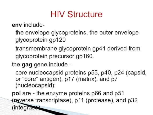 env include- the envelope glycoproteins, the outer envelope glycoprotein gp120