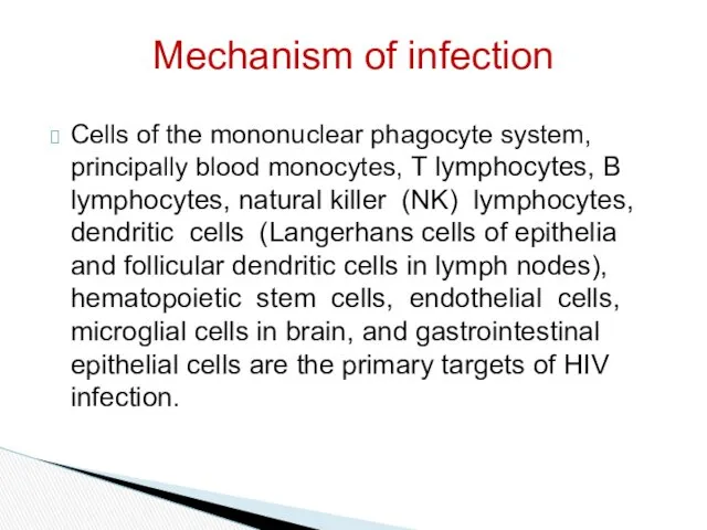 Cells of the mononuclear phagocyte system, principally blood monocytes, T