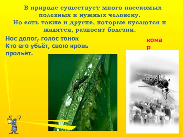 Нос долог, голос тонок Кто его убьёт, свою кровь прольёт.