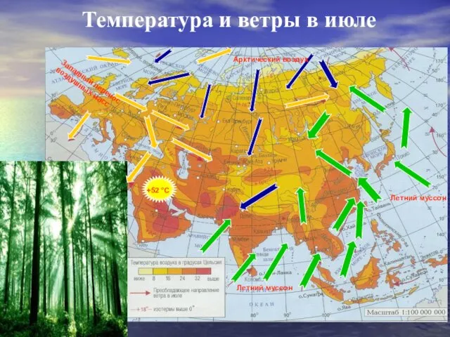 Температура и ветры в июле Западный перенос воздушных масс Летний