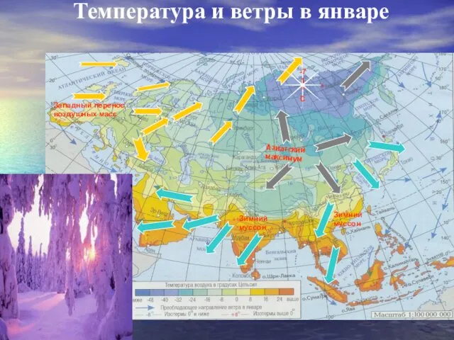 Температура и ветры в январе Азиатский максимум Западный перенос воздушных