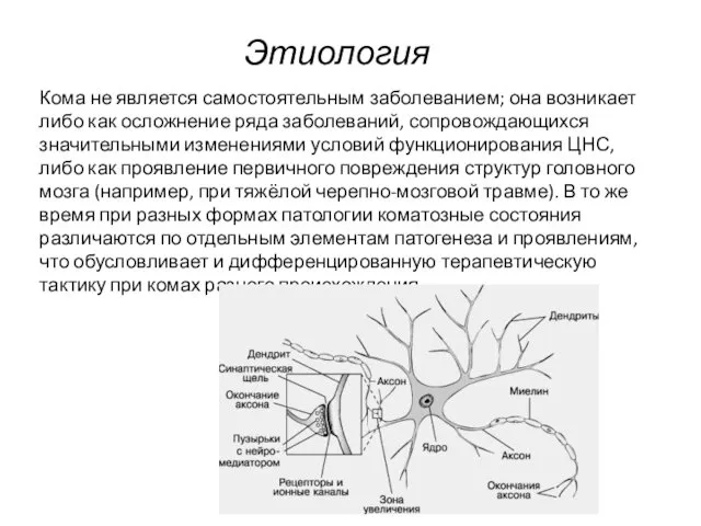 Кома не является самостоятельным заболеванием; она возникает либо как осложнение