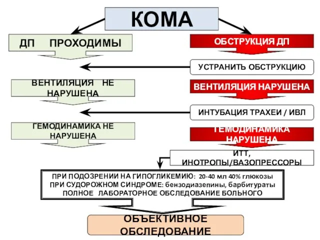 КОМА ДП ПРОХОДИМЫ ВЕНТИЛЯЦИЯ НЕ НАРУШЕНА ГЕМОДИНАМИКА НЕ НАРУШЕНА ОБСТРУКЦИЯ