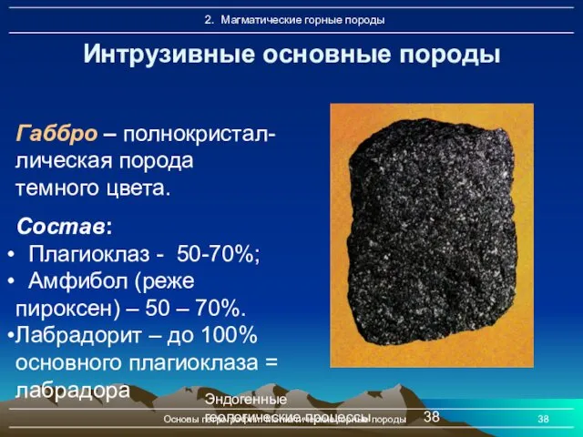 Эндогенные геологические процессы Основы петрографии. Магматические горные породы Интрузивные основные