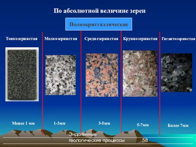 Эндогенные геологические процессы По абсолютной величине зерен Тонкозернистая Мелкозернистая Среднезернистая