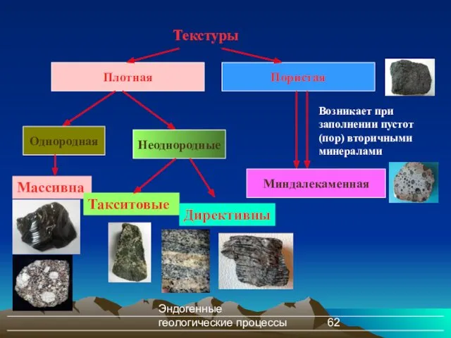 Эндогенные геологические процессы Плотная Текстуры Массивная Пористая Однородная Неоднородные Такситовые