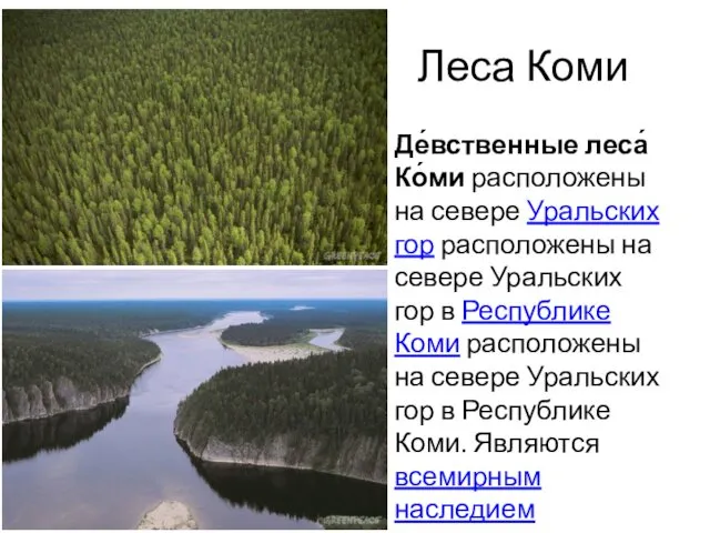 Леса Коми Де́вственные леса́ Ко́ми расположены на севере Уральских гор