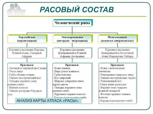 РАСОВЫЙ СОСТАВ АНАЛИЗ КАРТЫ АТЛАСА «РАСЫ».