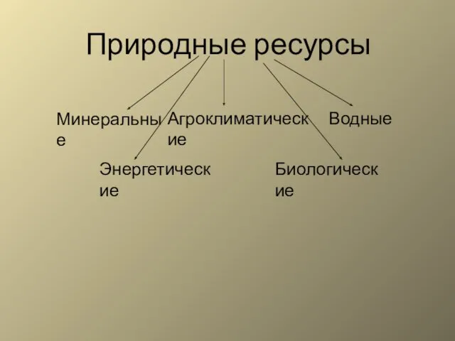 Природные ресурсы Минеральные Агроклиматические Водные Энергетические Биологические