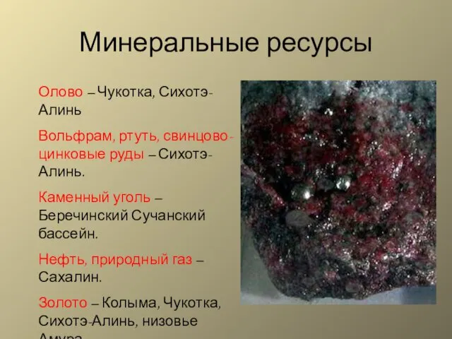 Минеральные ресурсы Олово – Чукотка, Сихотэ-Алинь Вольфрам, ртуть, свинцово-цинковые руды