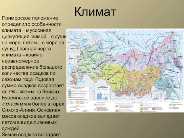 Климат Приморское положение определило особенности климата – муссонная циркуляция (зимой