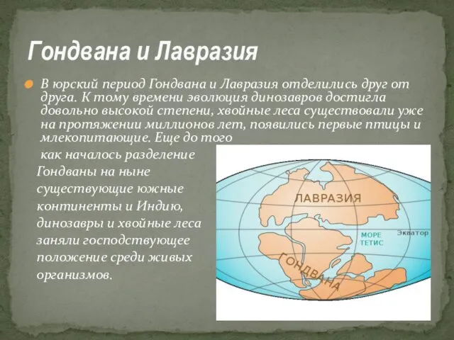 В юрский период Гондвана и Лавразия отделились друг от друга.