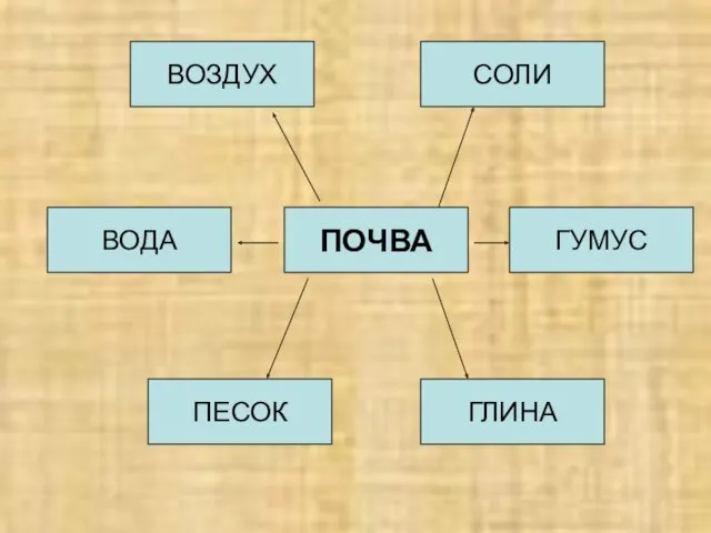 ПОЧВА ВОЗДУХ ВОДА ПЕСОК СОЛИ ГУМУС ГЛИНА