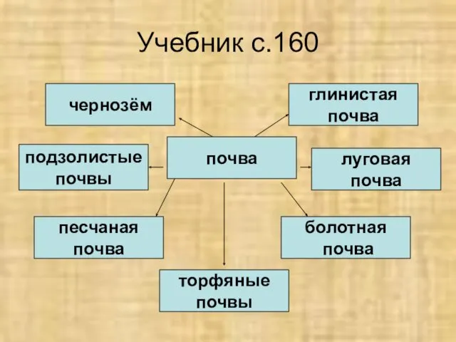 Учебник с.160 почва чернозём подзолистые почвы песчаная почва глинистая почва луговая почва болотная почва торфяные почвы