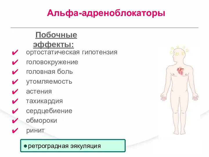 ортостатическая гипотензия головокружение головная боль утомляемость астения тахикардия сердцебиение обмороки ринит Побочные эффекты: Альфа-адреноблокаторы