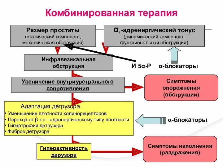 Адаптация детрузора Уменьшение плотности холинорецепторов Переход от β к α