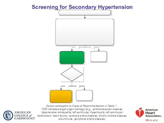 Screening for Secondary Hypertension Colors correspond to Class of Recommendation in Table 1