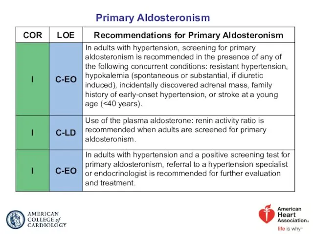 Primary Aldosteronism