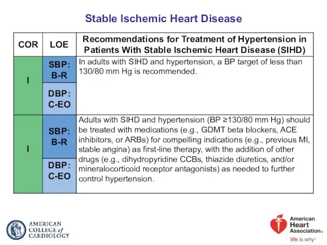 Stable Ischemic Heart Disease
