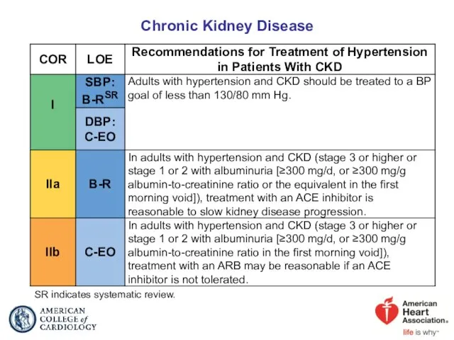 Chronic Kidney Disease SR indicates systematic review.