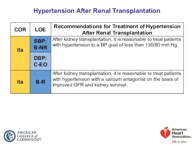 Hypertension After Renal Transplantation