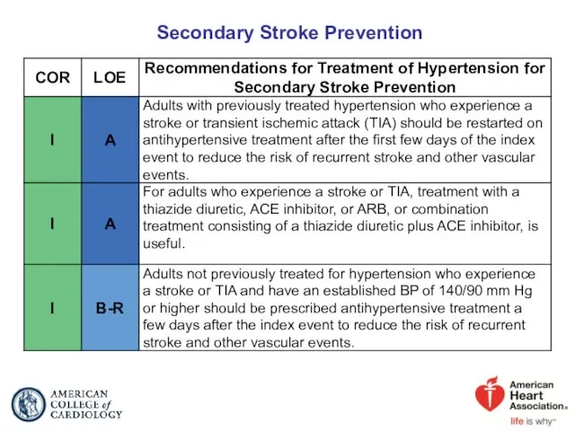 Secondary Stroke Prevention