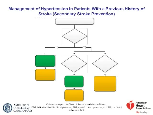 Management of Hypertension in Patients With a Previous History of Stroke (Secondary Stroke