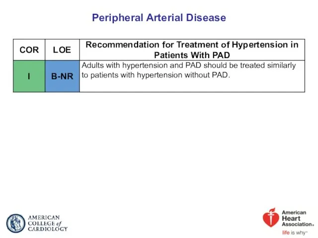 Peripheral Arterial Disease