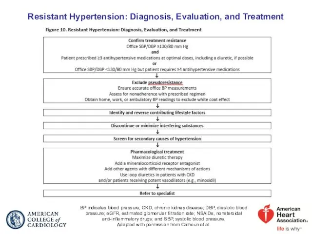 Resistant Hypertension: Diagnosis, Evaluation, and Treatment . BP indicates blood pressure; CKD, chronic