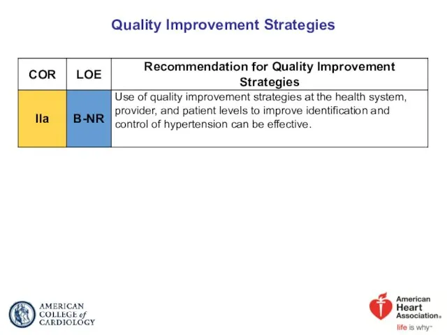 Quality Improvement Strategies