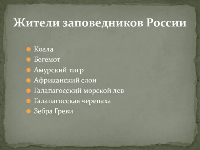 Коала Бегемот Амурский тигр Африканский слон Галапагосский морской лев Галапагосская черепаха Зебра Греви Жители заповедников России