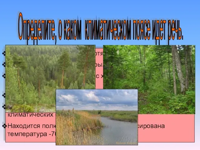 Определите, о каком климатическом поясе идет речь. Пояс имеет наибольшую